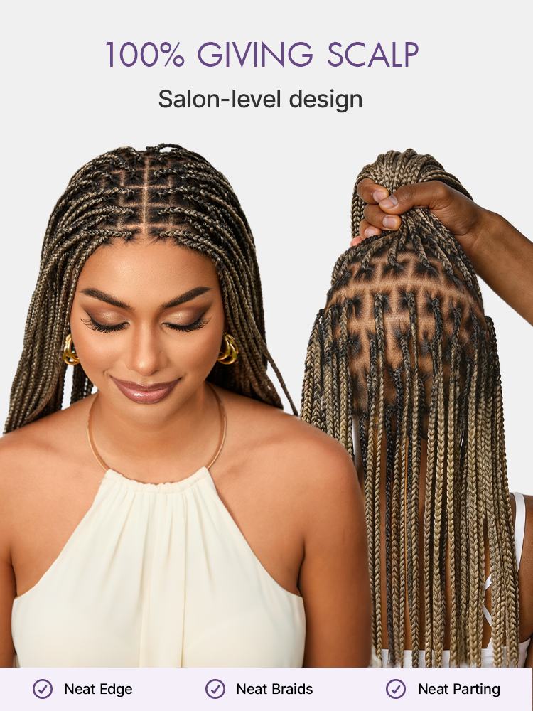 ✨Last Day: 58% Off✨ Salon Braids HD Lace Knotless Wig 🔥