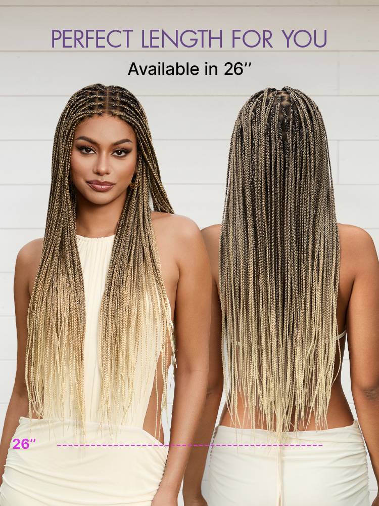 ✨Last Day: 58% Off✨ Salon Braids HD Lace Knotless Wig 🔥