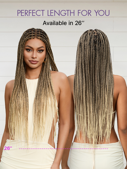 ✨Last Day: 58% Off✨ Salon Braids HD Lace Knotless Wig 🔥